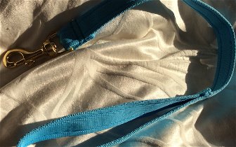 For sale: 60cm long sky blue dog lead with brass clip