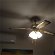 For sale: Ceiling fan and light