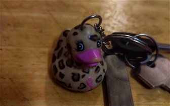 Lost: Lost keys with duck keychain
