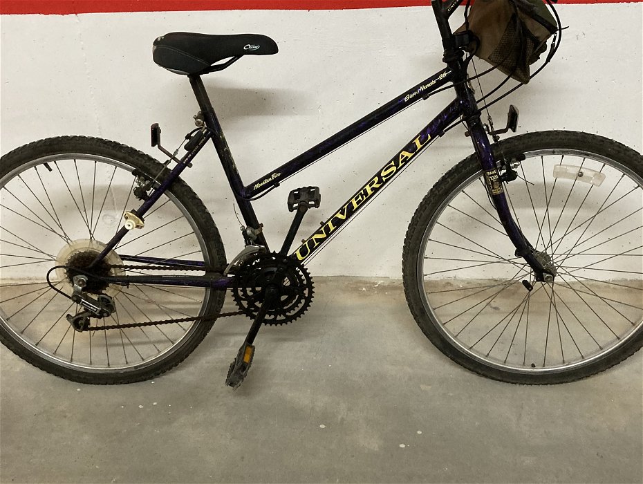 For sale: Ladies mountain bike for sale