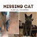 Lost: Grey Female Cat