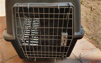 For sale: USED DOG TRANSPORTBOX 80X55X60