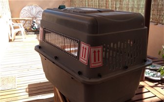 For sale: Dog travel box