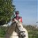 Horsetrainer/Instructor
