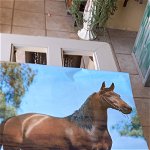 Am looking for a poster of a Horse