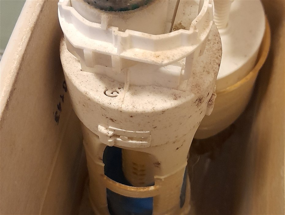 Plumber to fix overflow on toilet
