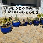 For sale: 10 Beautiful blue plant pots including plans