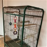 For sale: Jaula para pájaros/large bird cage on wheels
