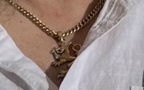Lost: Golden necklace with lion jewel