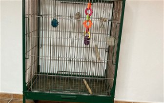 For sale: Jaula para pájaros/large bird cage on wheels