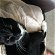 Lost: Black & white cat, 6yr old, nervous & skitish.