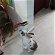 Found: We have found a brown and white pet rabbit, we found him in calle virgin de la caridad del cobre, montecastillo
