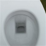 For sale: Wall mounted toilet