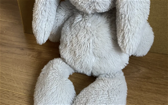 Lost: We have lost a gray bunny teddy from marks and spencer we thinks it’s by alentica shopping centre It means the world to my son