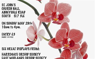 For sale: Sheffield orchid Society Annual Show
