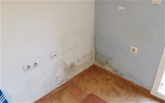 Can anyone recommend: A builder to fix some damp issues